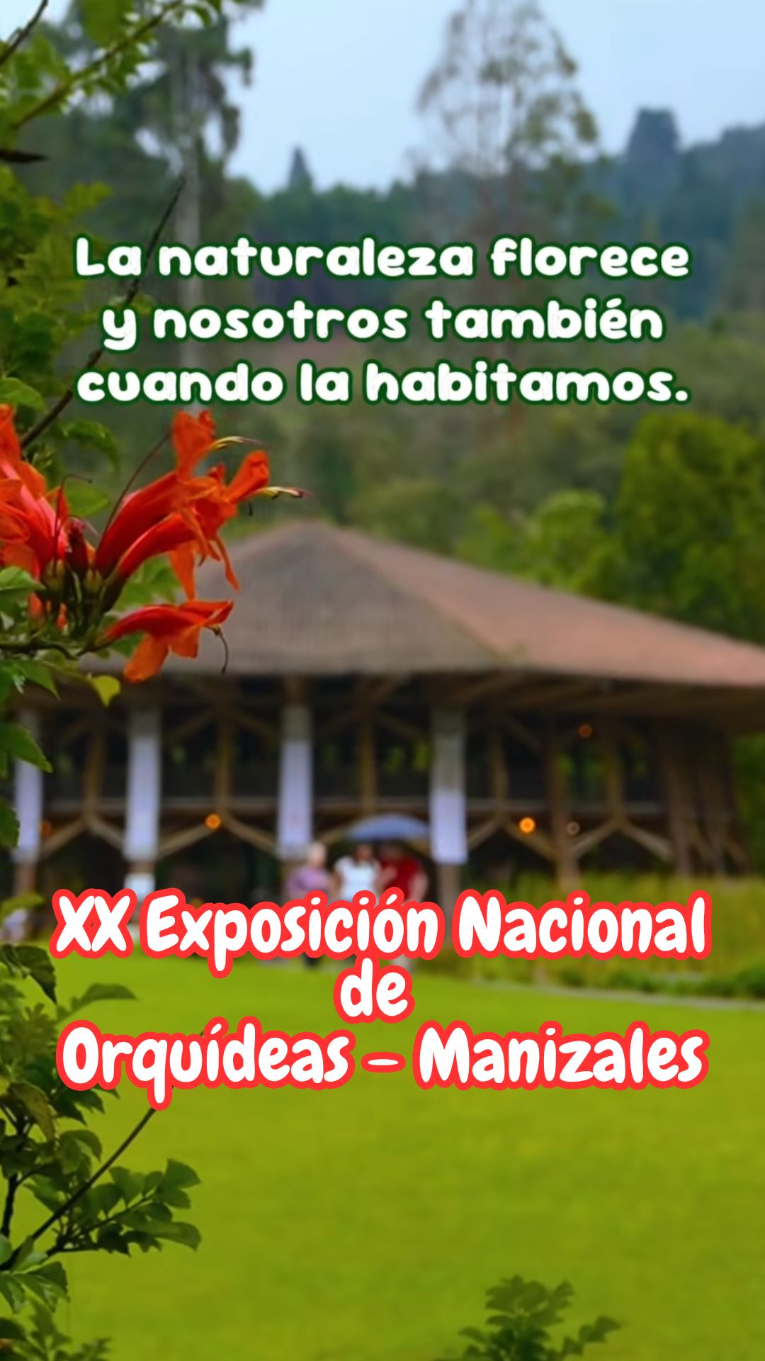 XX Exposición Nacional de Orquídeas de Manizales — contenido UGC de Lifestyle